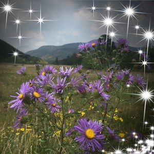 Meet your Posher, Vicki